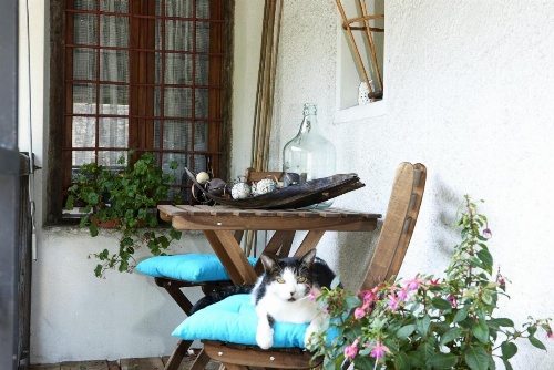 Cèc & Evita image 2